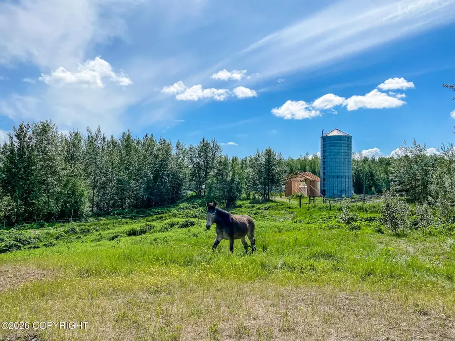 5800 N Cunningham Road, Palmer, AK 99645 - #3
