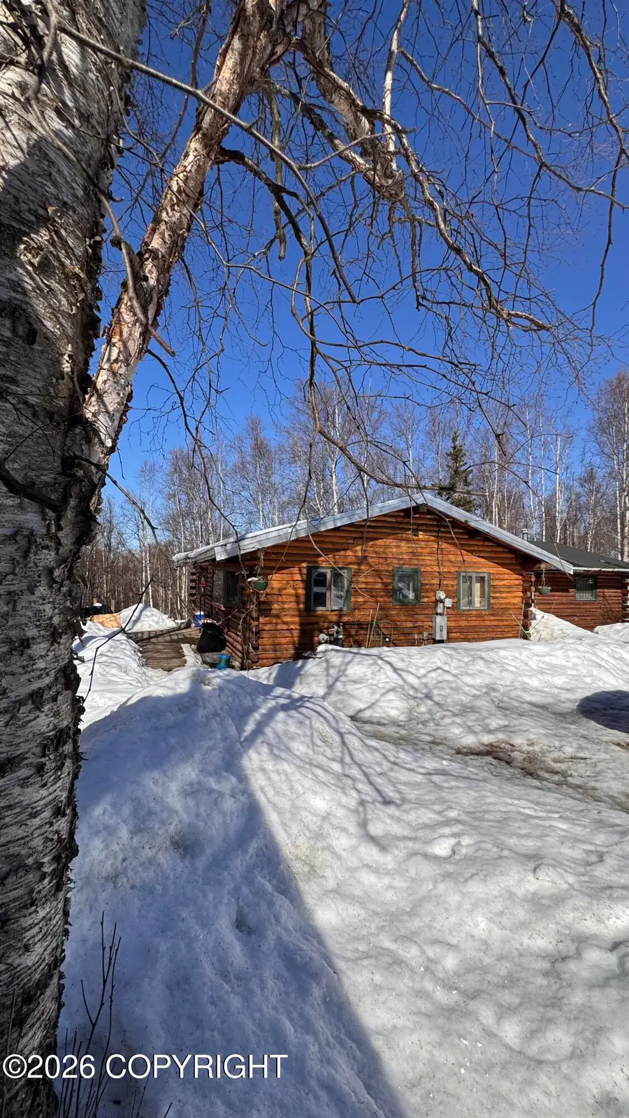 19823 Tenada Avenue, Anchorage, AK 99567 - #2