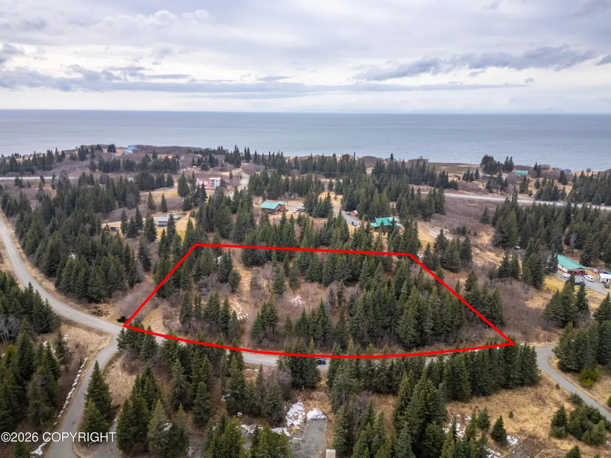22501 Shegota Loop, Ninilchik, AK 99639 - #1