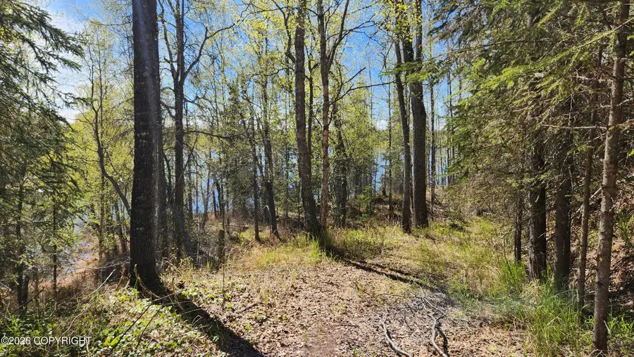 L3 B1 Dossow Street, Nikiski, AK 99635 - #2