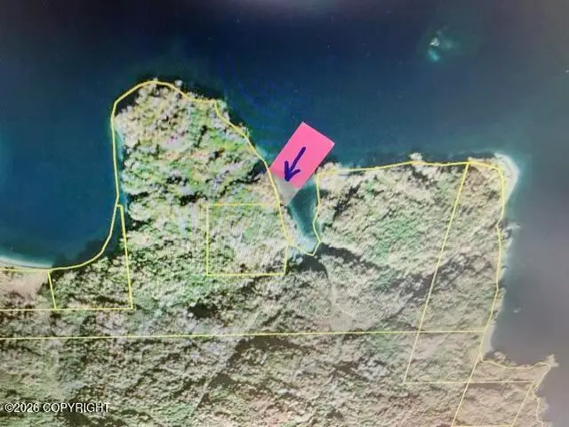 TL 2006 Zachar Bay, Larsen Bay, AK 99624 - #1