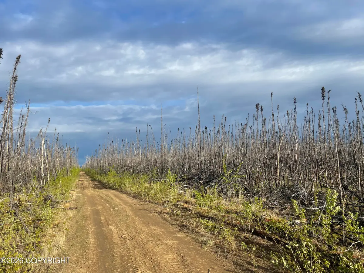 NHN Lightning Avenue, Denali, AK 99743 - #1
