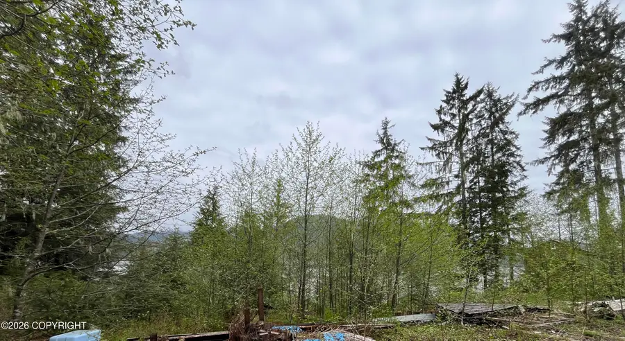 25AC Mitkof Highway, Petersburg, AK 99833 - #3