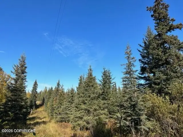 68302 Sunshine Drive, Ninilchik, AK 99639 - #2