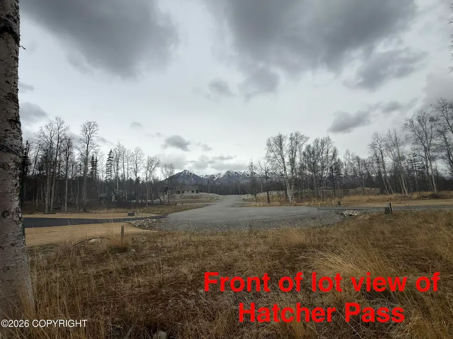 8249 N Starry Night Circle, Palmer, AK 99645 - #3