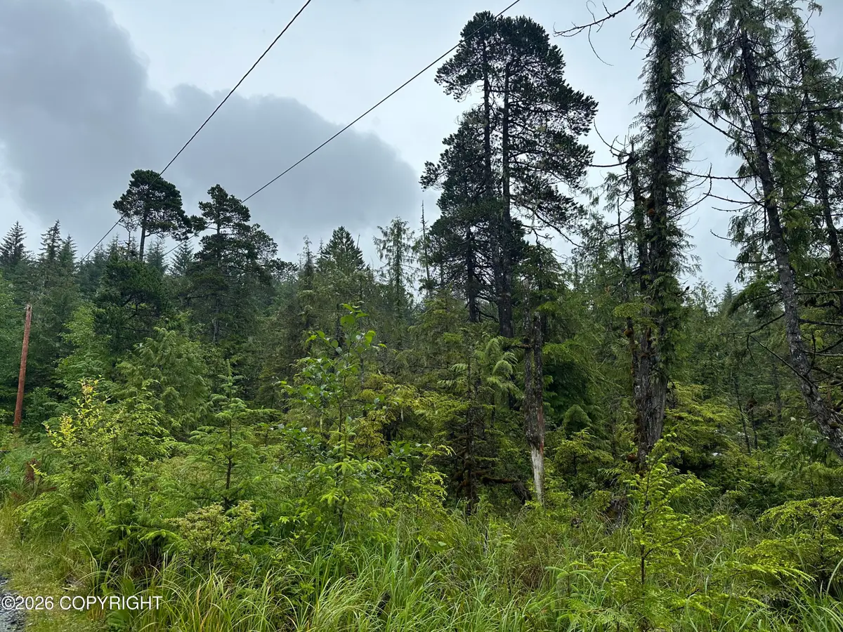 12.5 Mile Zimovia Highway, Wrangell, AK 99929 - #1