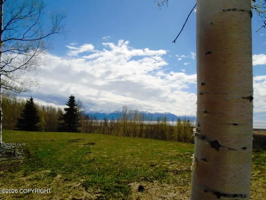 13360 Reef Place, Anchorage, AK 99515 - #1