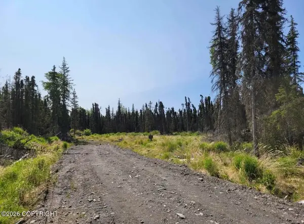 48927 Rustic Avenue, Soldotna, AK 99669