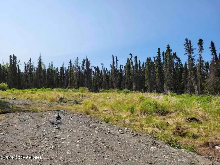 48927 Rustic Avenue, Soldotna, AK 99669 - #2