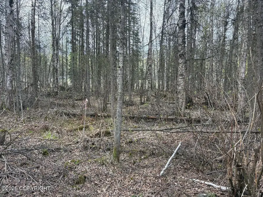 T15N R1w Sec 9 Lt 144, Chugiak, AK 99567 - #2