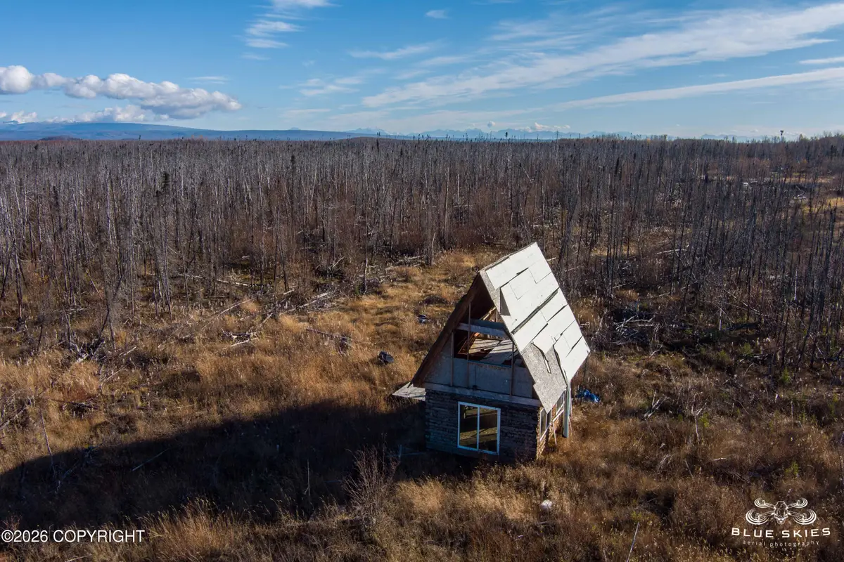41357 W Krantz Road, Willow, AK 99688 - #1