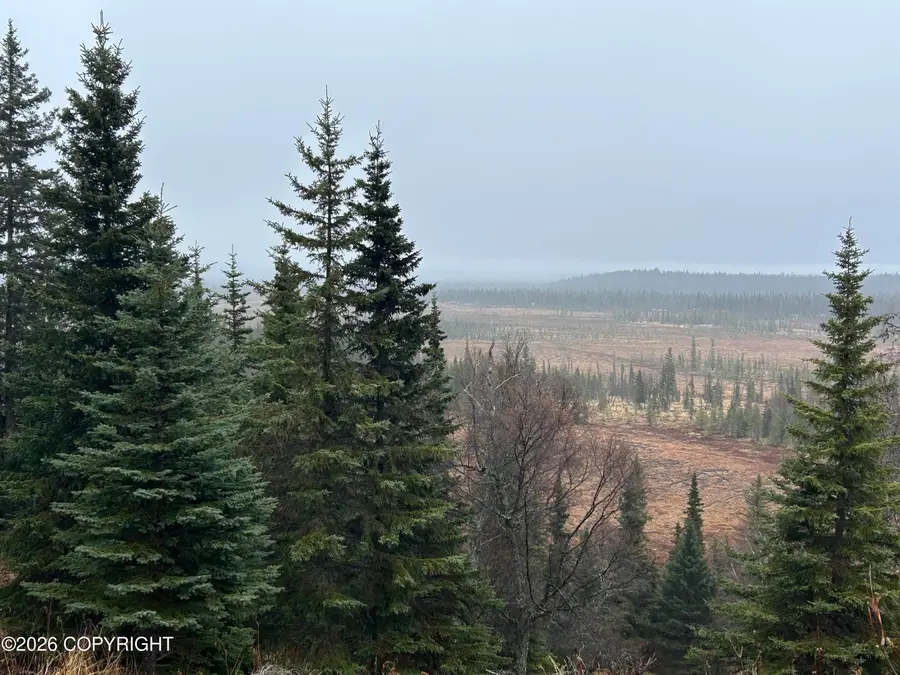 67375 Berussa Street, Ninilchik, AK 99639 - #3