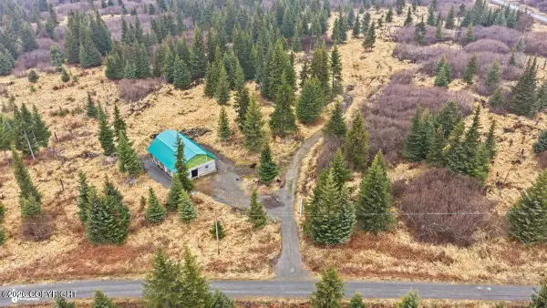 31905 Kostino Road, Anchor Point, AK 99556