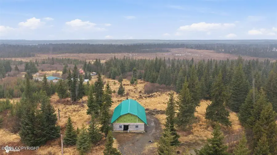 31905 Kostino Road, Anchor Point, AK 99556 - #2