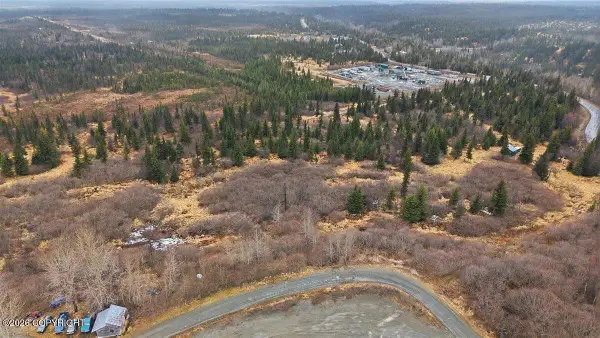 65251 Wagon Road, Anchor Point, AK 99556