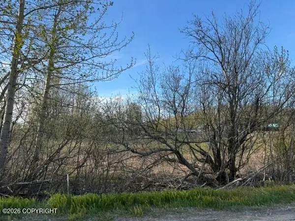 15221 E Nina Road, Palmer, AK 99645