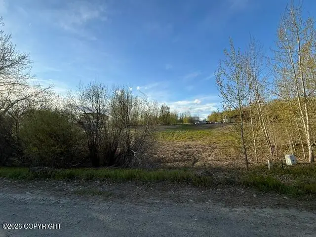 15221 E Nina Road, Palmer, AK 99645 - #2