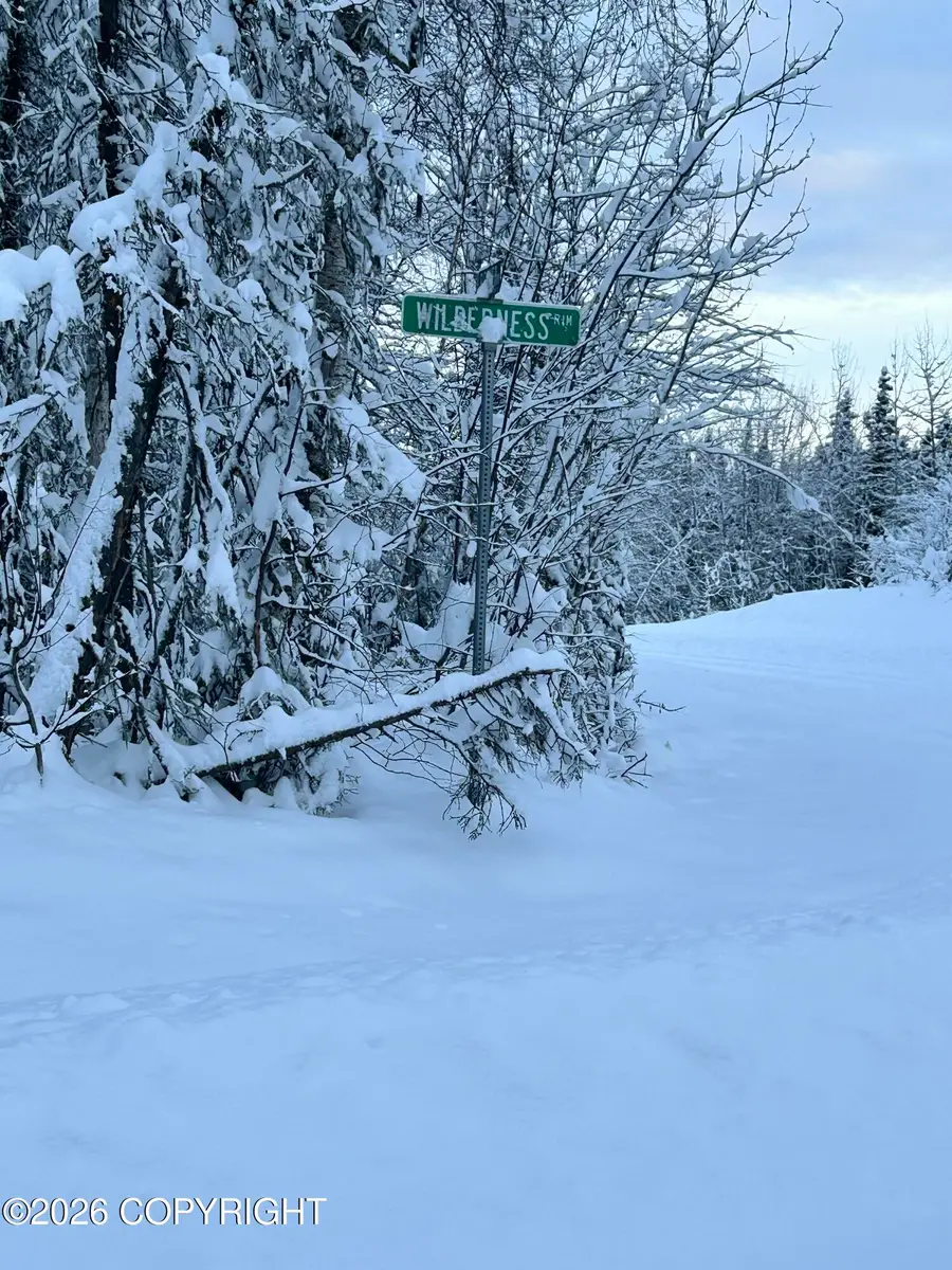 L 140 E Wilderness Rim Road, Willow, AK 99688 - Image #3