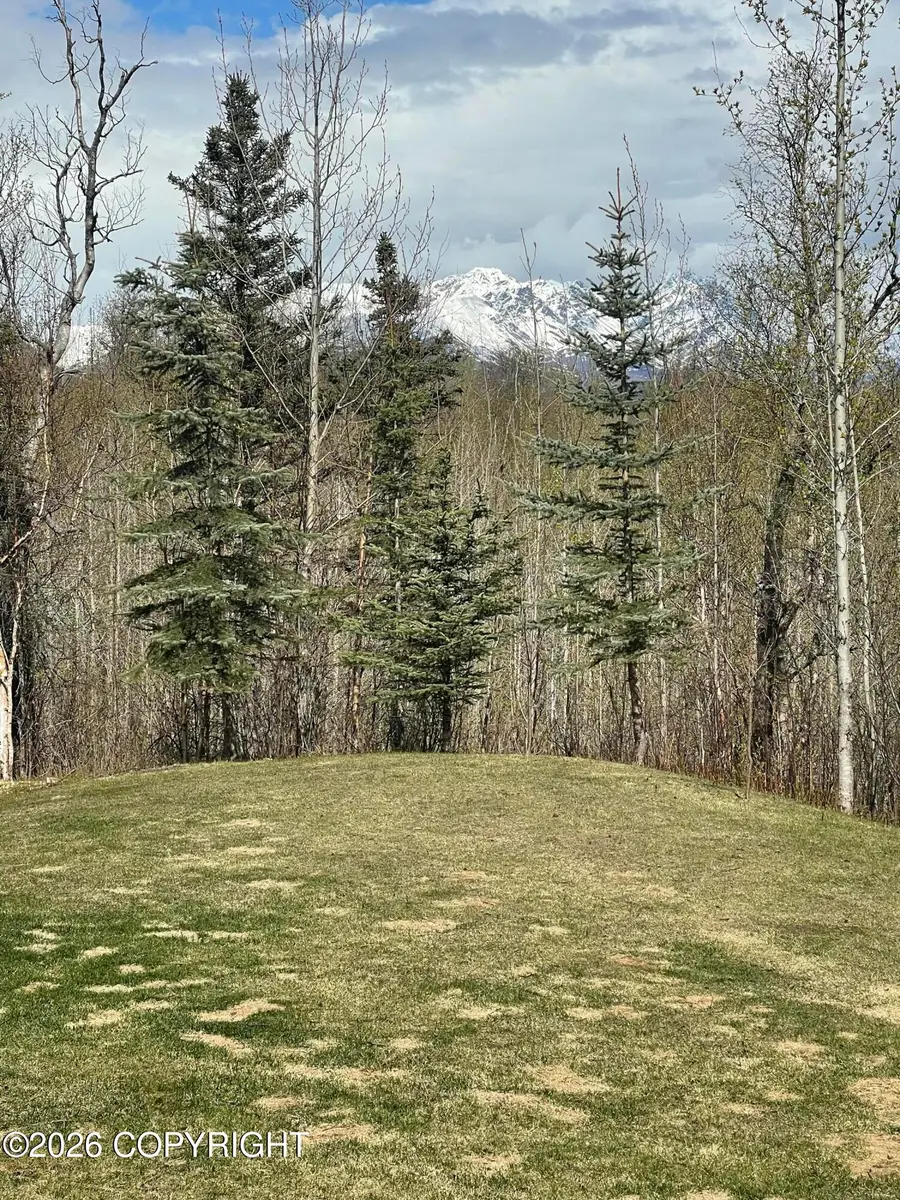 12102 E Fence Line Drive, Palmer, AK 99645 - #2