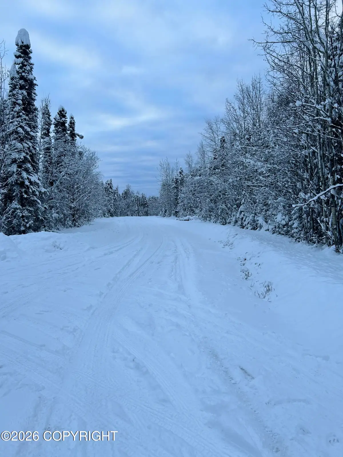 L48 S Otter Drive, Willow, AK 99688 - Image #1