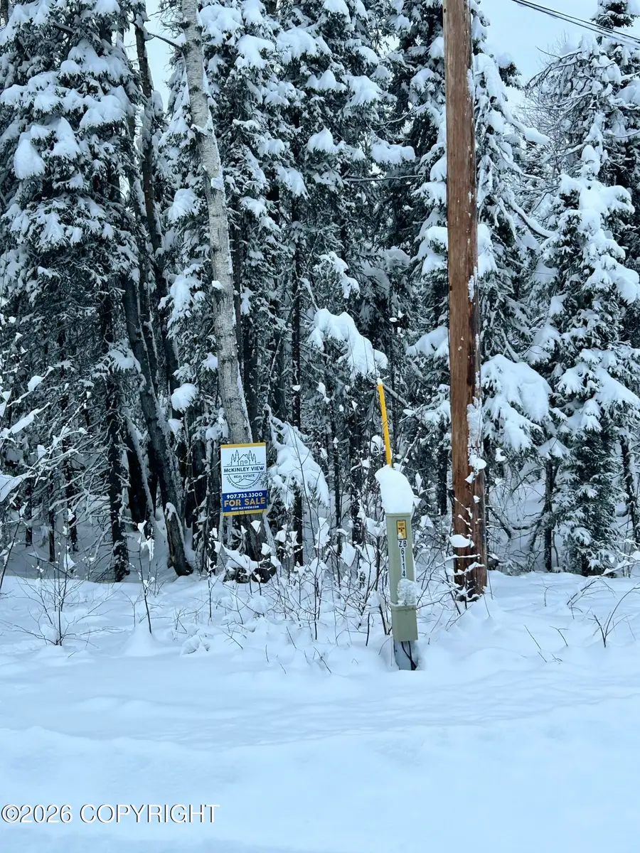 L48 S Otter Drive, Willow, AK 99688 - Image #3