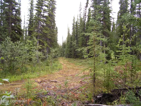 L20 B2 Becky Lane, Copper Center, AK 99573