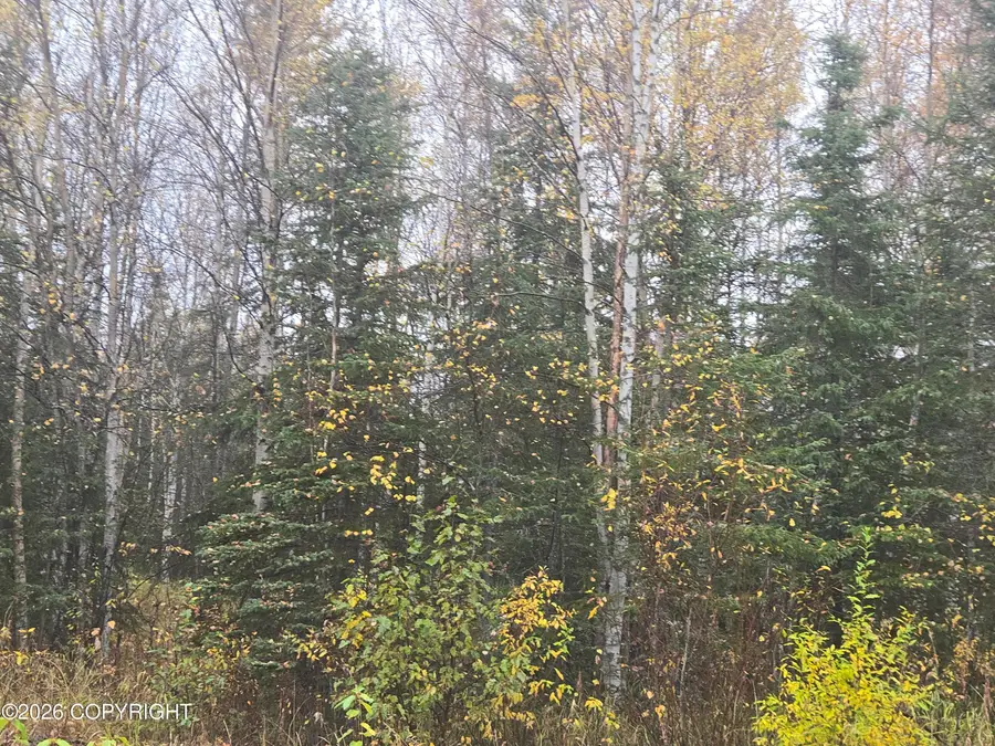 L20 B2 Becky Lane, Copper Center, AK 99573 - #3