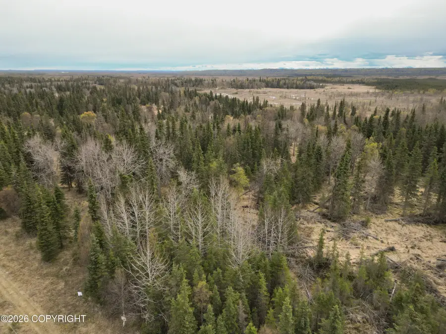 30276 Kalifornsky Road, Kasilof, AK 99610 - #3