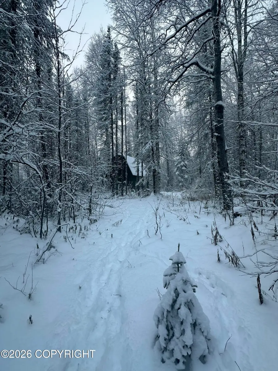47100 S Bitin Drive, Willow, AK 99688 - #2