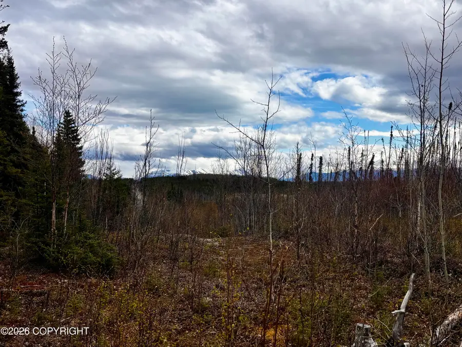 000 Lake Road, Soldotna, AK 99669 - #3