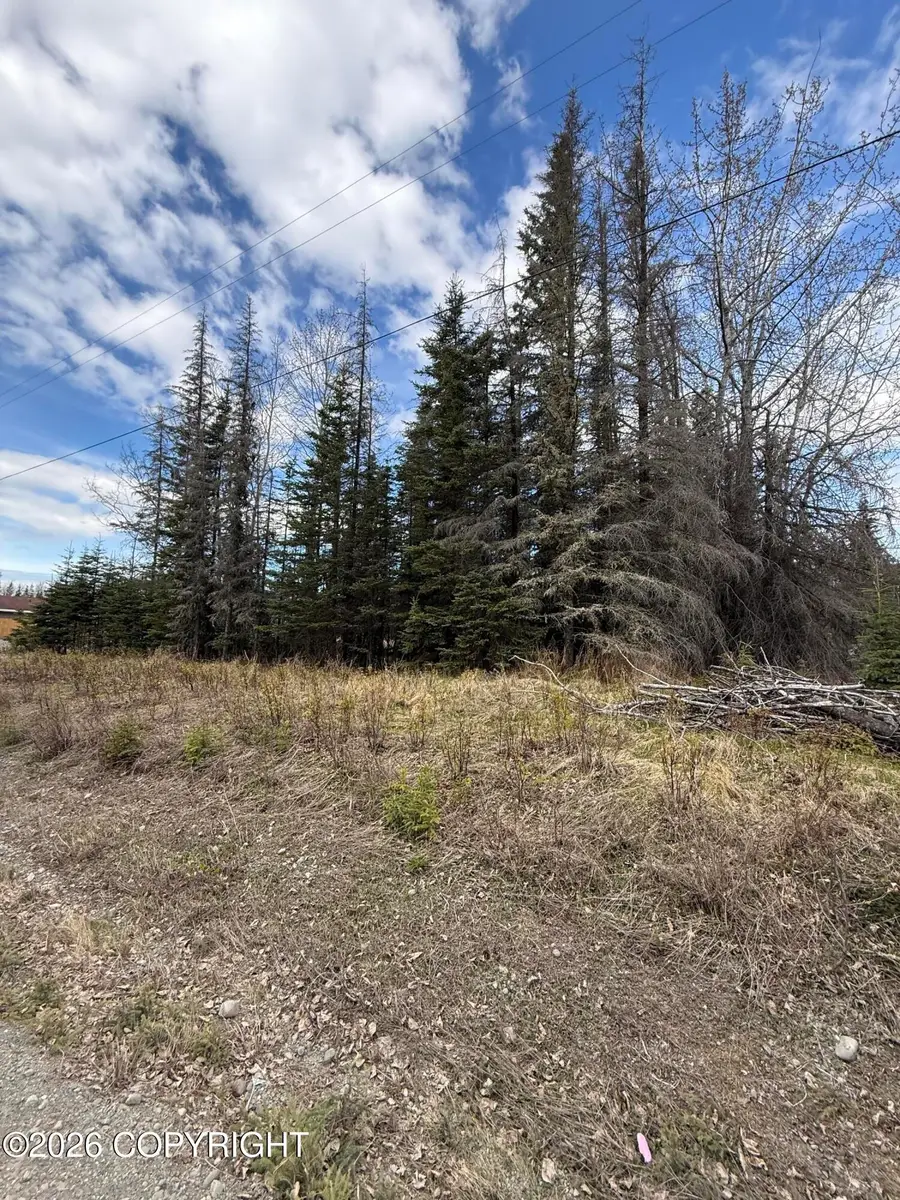 609 Magic Avenue, Kenai, AK 99611 - #3