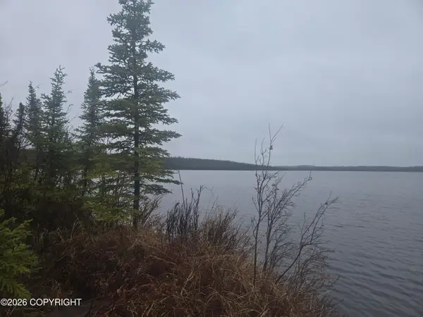 Mile .05 Tolsona Lake Road, Glennallen, AK 99588