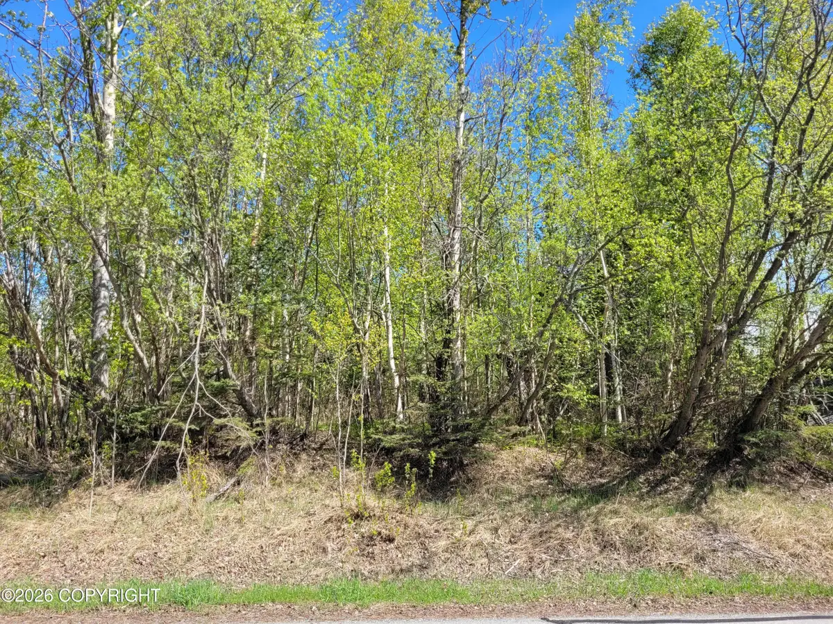 3231 N Calder Road, Wasilla, AK 99654 - #1