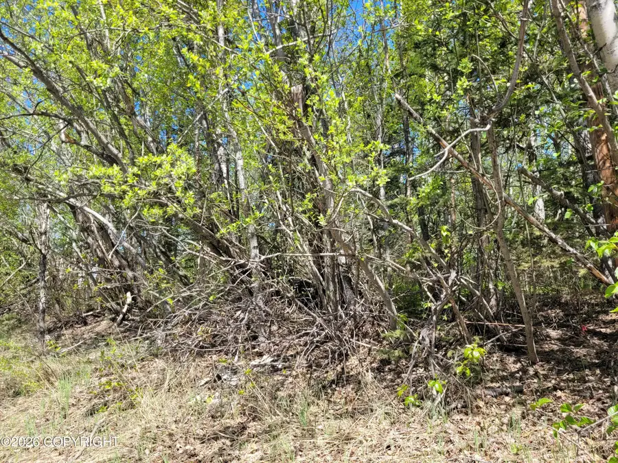 3231 N Calder Road, Wasilla, AK 99654 - #2