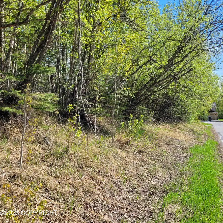 3231 N Calder Road, Wasilla, AK 99654 - #3
