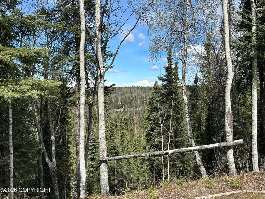 36663 River View Terrace, Soldotna, AK 99669 - #3