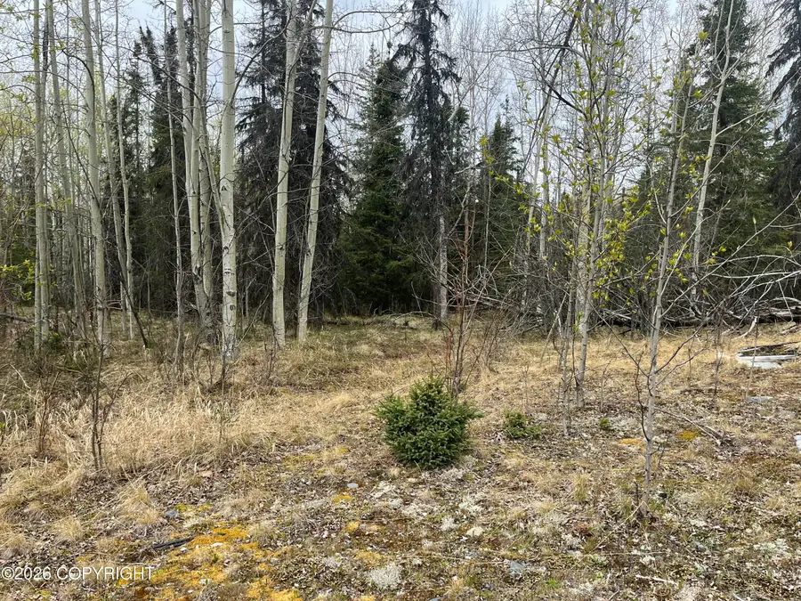 28072 Caffyn Avenue, Sterling, AK 99672 - #3