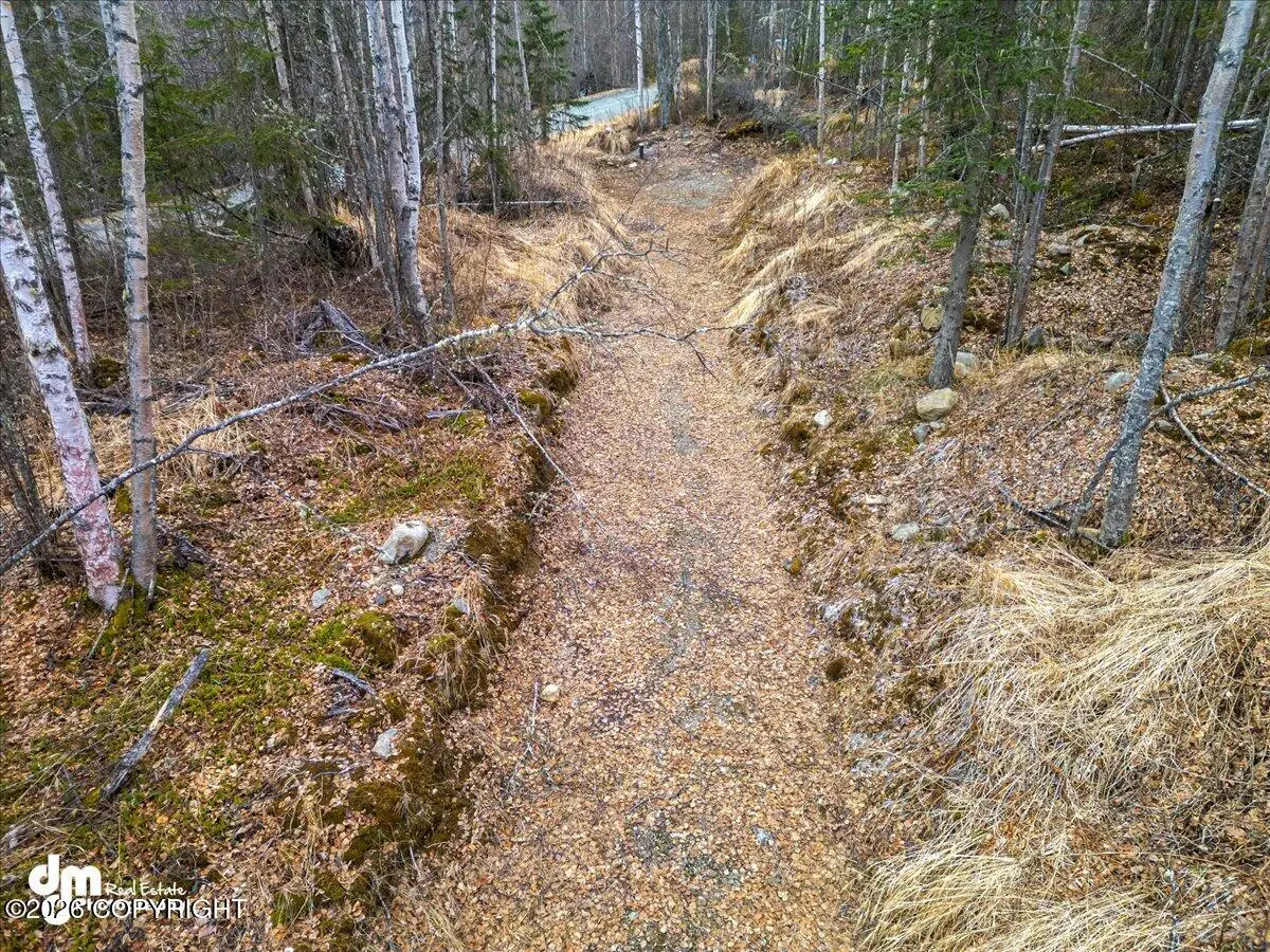 NHN Jasmine Road, Chugiak, AK 99567 - #1