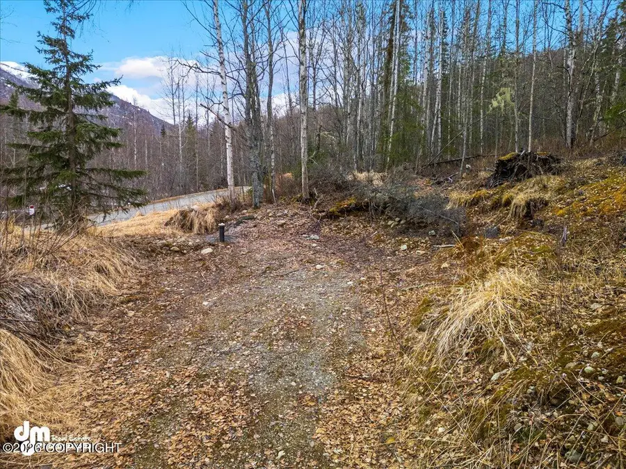 NHN Jasmine Road, Chugiak, AK 99567 - #2
