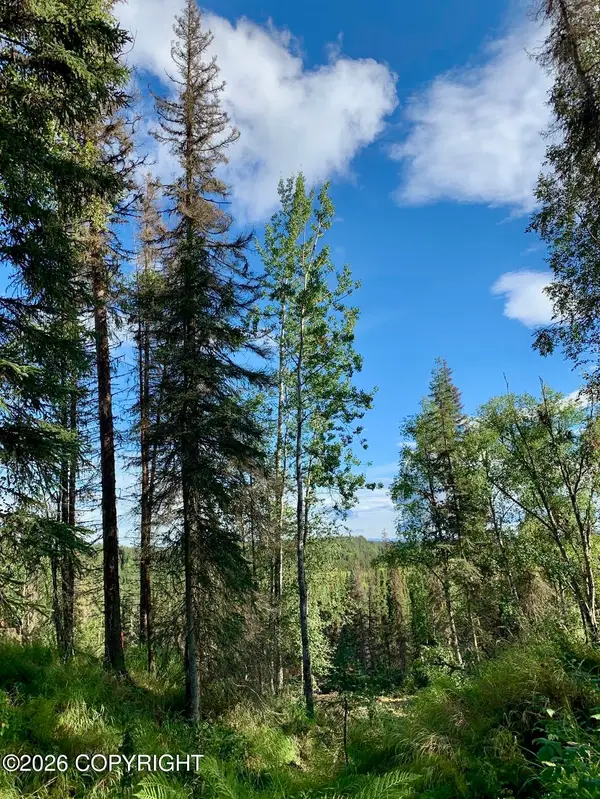245 Nevada Street, Kenai, AK 99611