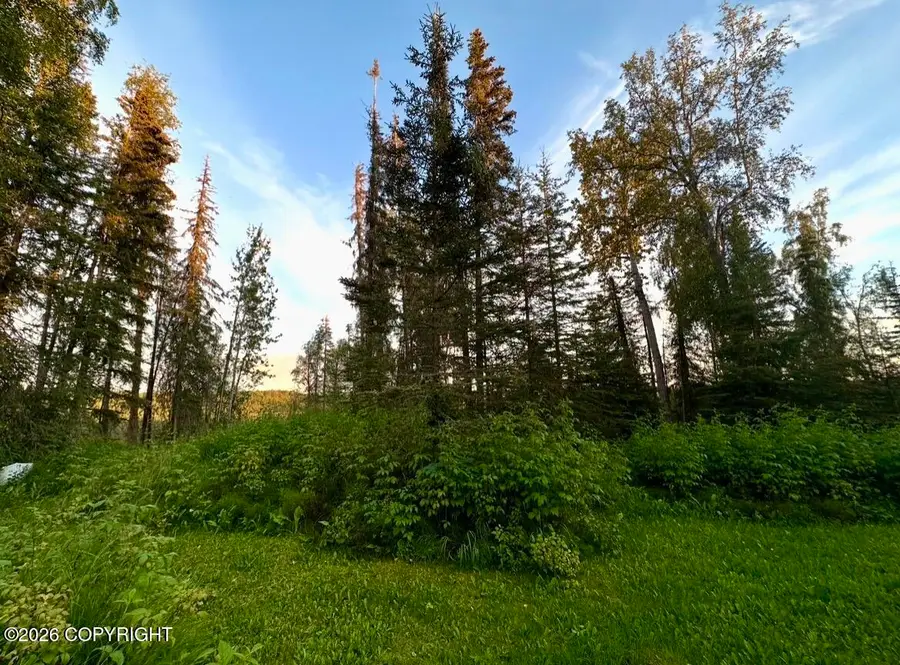 245 Nevada Street, Kenai, AK 99611 - #3