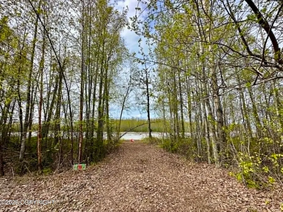 23240 S Talkeetna Spur Road, Talkeetna, AK 99676 - #2