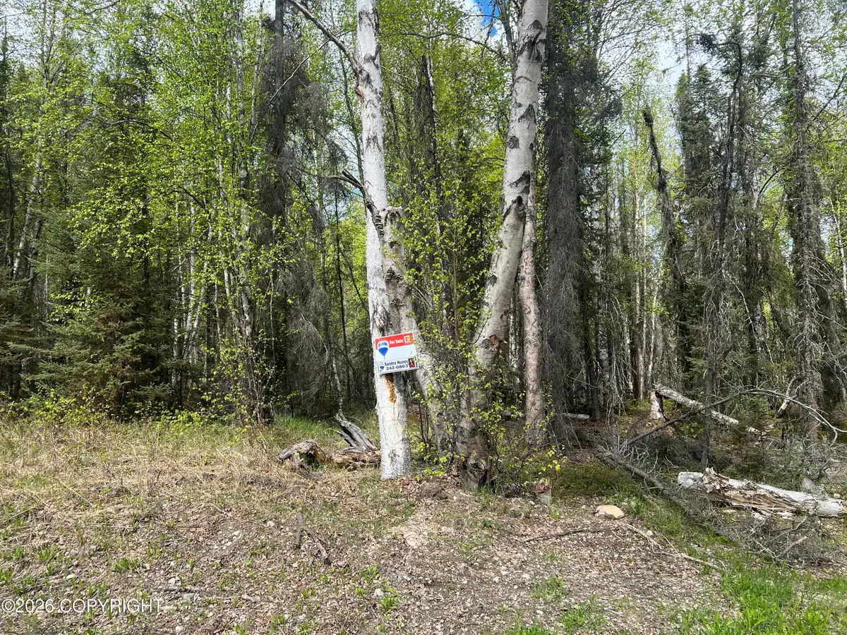 3762 N White Knight Drive, Wasilla, AK 99654 - #1