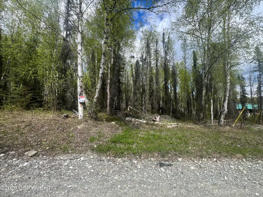 3762 N White Knight Drive, Wasilla, AK 99654 - #2