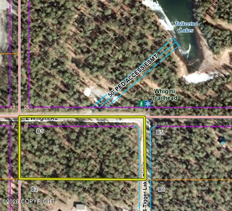 26038 S Tigger Lake Road, Talkeetna, AK 99676 - #2