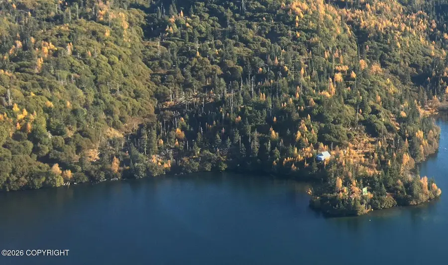 Lot 10 Loon Lake, Bear Cove, Homer, AK 99603 - #3