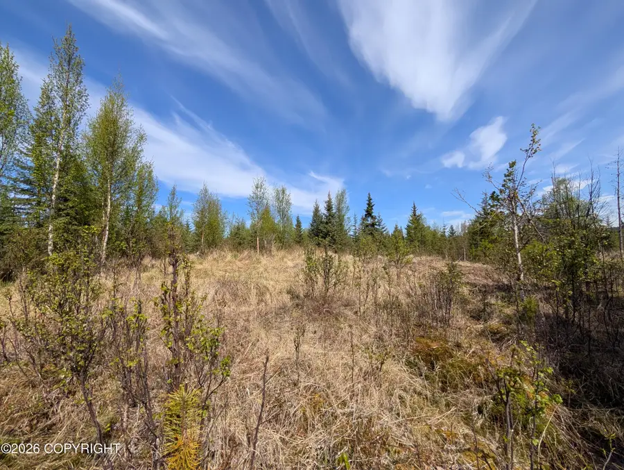67848 St John Street, Happy Valley, AK 99556 - #2