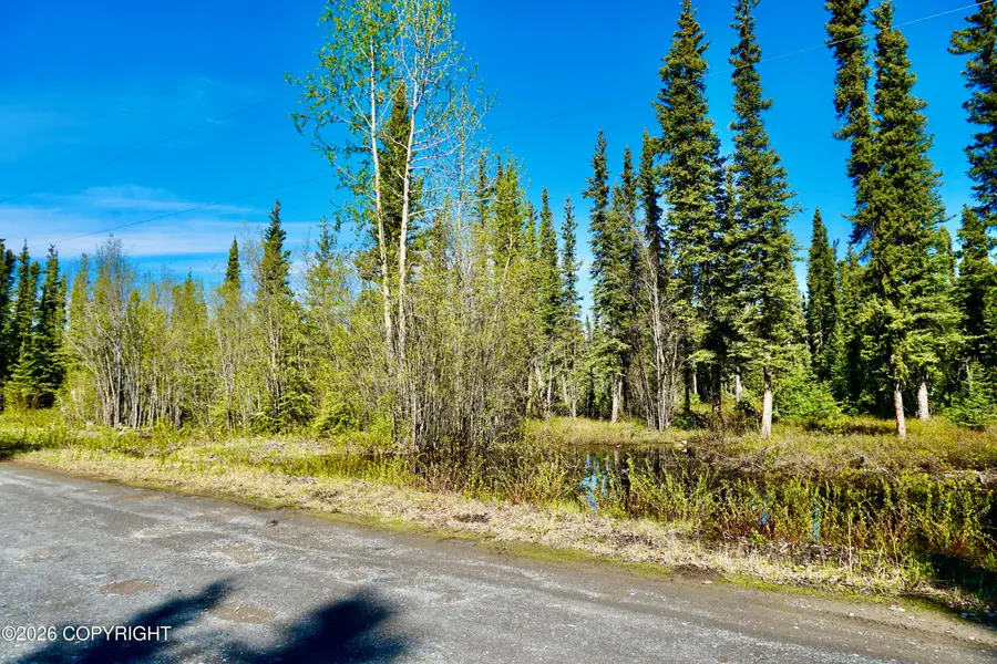 Lot 2 4th Street, Glennallen, AK 99588 - #2