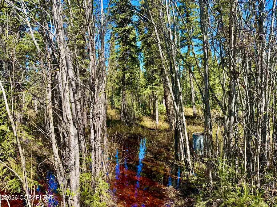Lot 2 4th Street, Glennallen, AK 99588 - #3