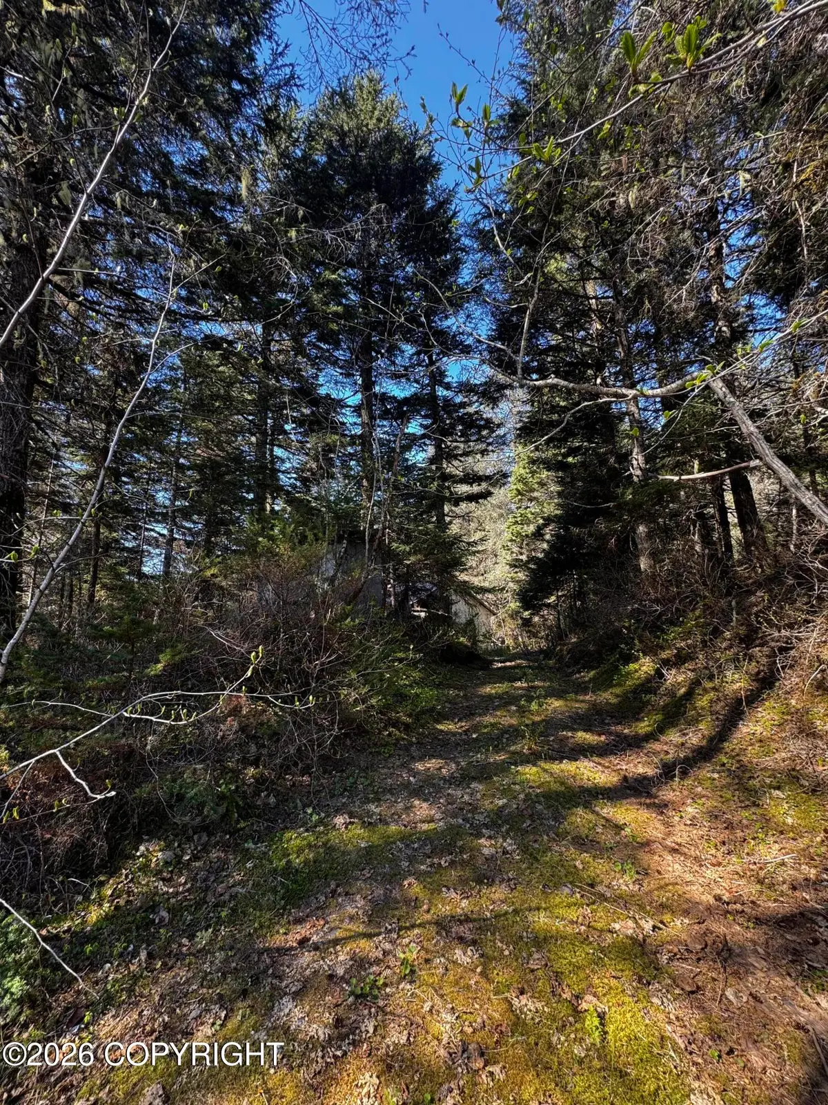 15485 Grouse Creek Road, Seward, AK 99664 - #1